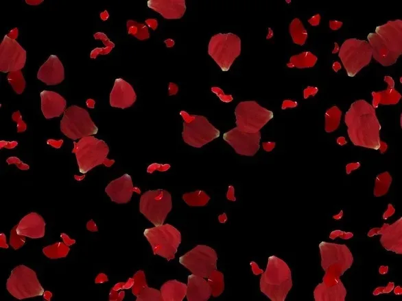 OnlyFans cuenta geforcejunkie header 2