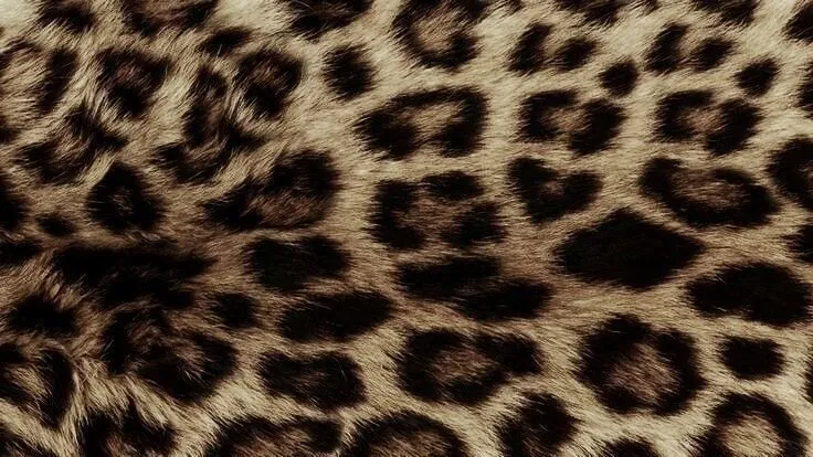 OnlyFans cuenta sagesantina header 2