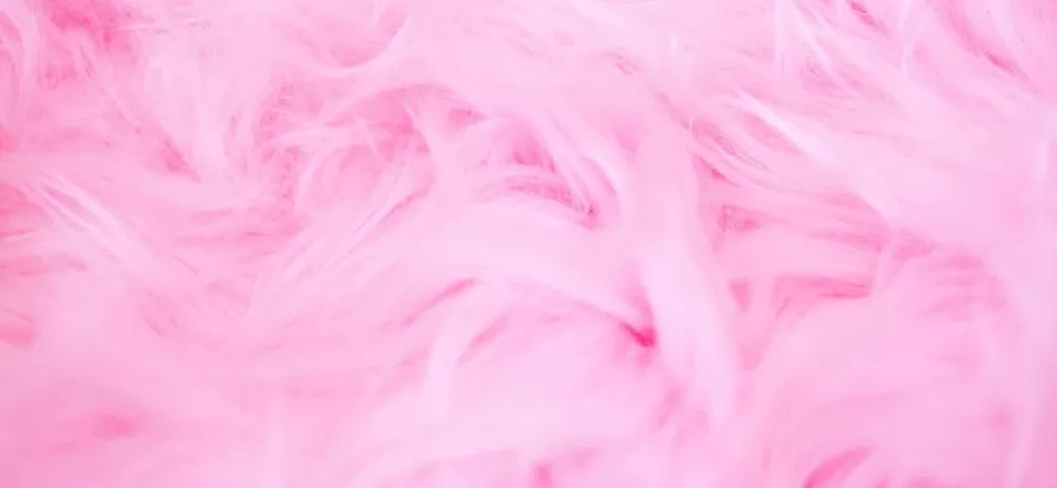 OnlyFans cuenta missm_90 header 2