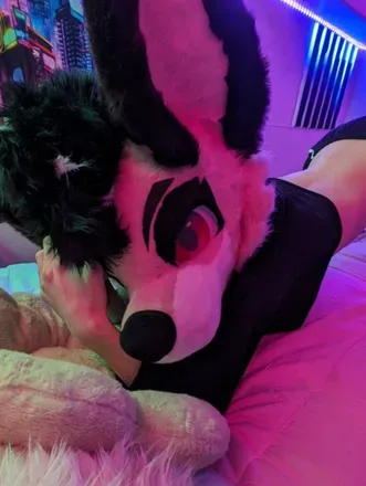 OnlyFans cuenta p4rtyfoxx avatar 1