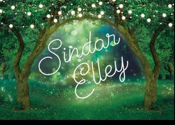 OnlyFans cuenta sindar.elley header 2