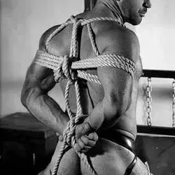 OnlyFans cuenta siru_neku avatar 1