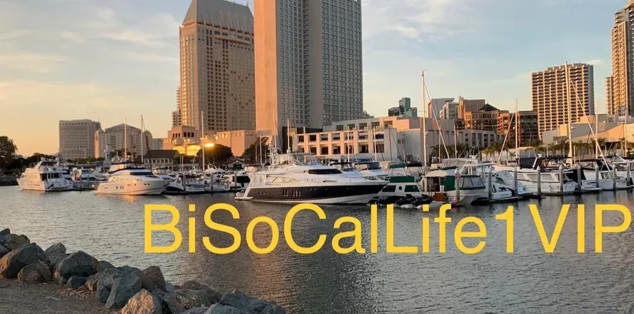OnlyFans account  bisocallife1vip header 2