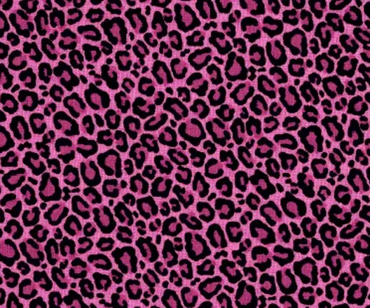 OnlyFans account  evilallycat header 2