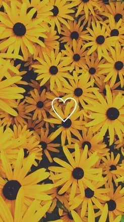 OnlyFans cuenta natosharose header 2
