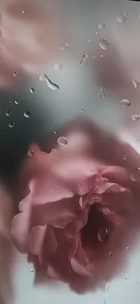 OnlyFans cuenta aurelieskiesxo header 2