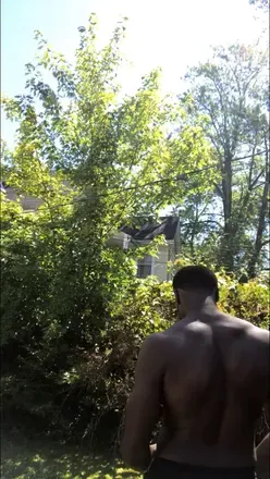 OnlyFans cuenta half-gorillahalf-horse avatar 1