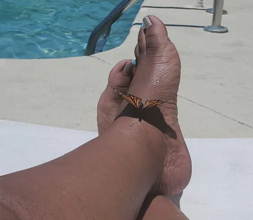 OnlyFans cuenta usexybuttafly header 2