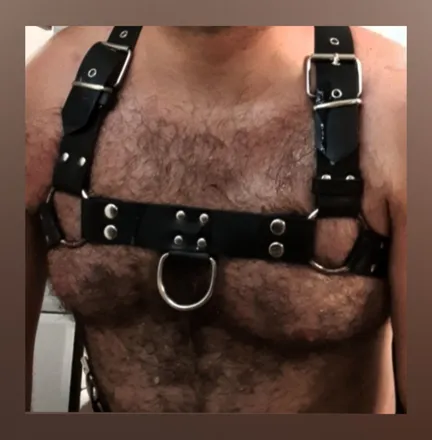 OnlyFans cuenta pigbear38 header 2
