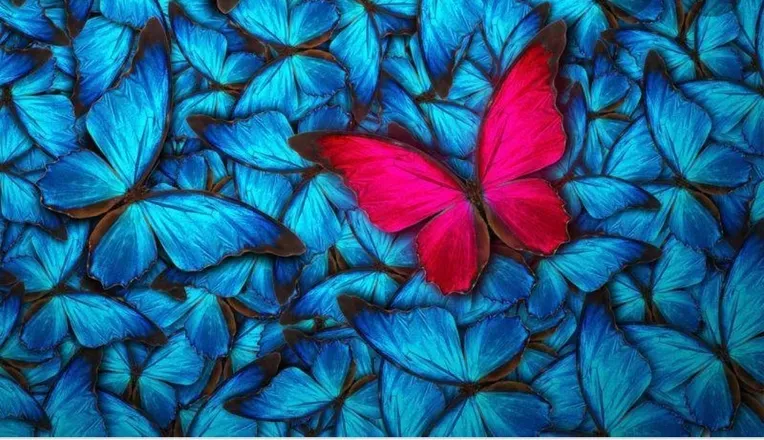 OnlyFans cuenta kallybutterfly avatar 1