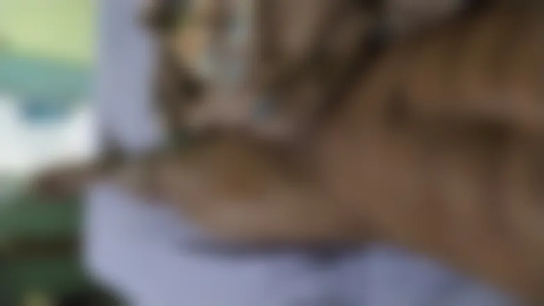 OnlyFans cuenta wesleydo88 header 2