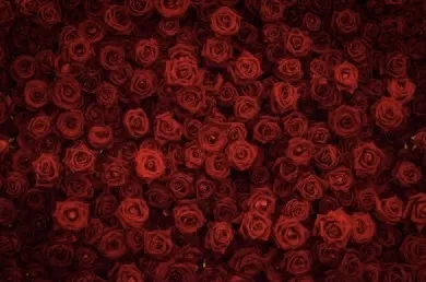 OnlyFans cuenta chiiniita.l header 2