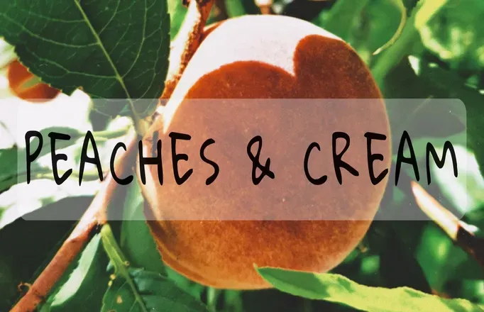OnlyFans cuenta bbw-forbiddenfruit header 2