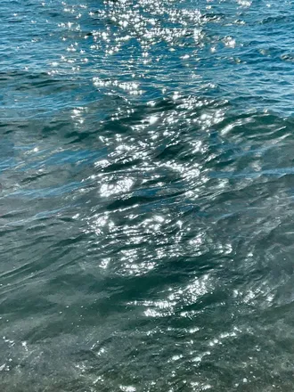 OnlyFans account  scsilver_sea header 2
