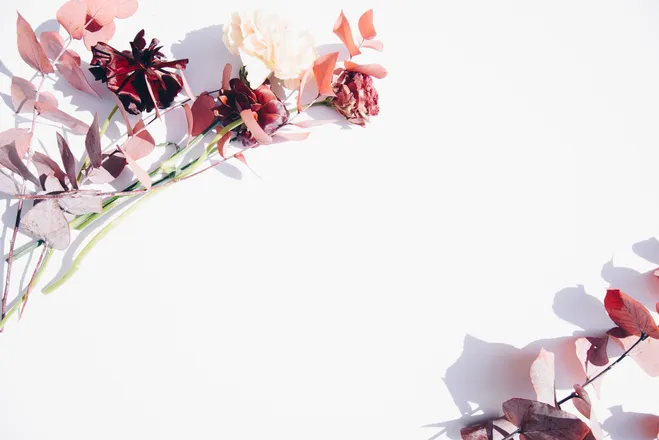 OnlyFans cuenta esteffag header 2