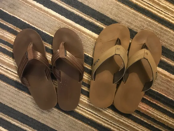 OnlyFans cuenta brown_bear_paws header 2