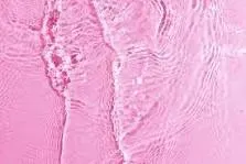 OnlyFans cuenta toptierpink avatar 1