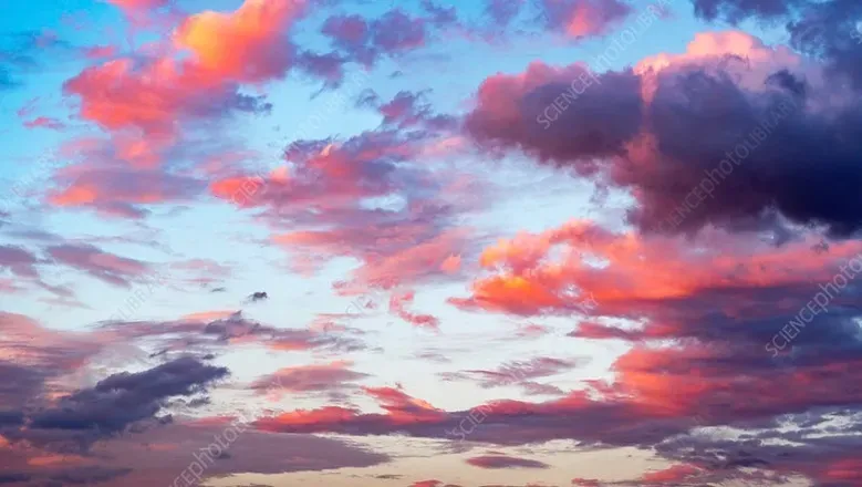 OnlyFans cuenta bigbuttbuttercup header 2