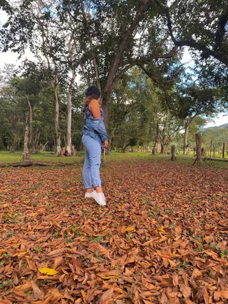 OnlyFans account  drtobe header 2