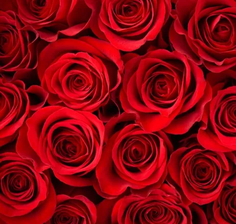 OnlyFans account  seductivelady01 header 2