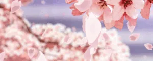 OnlyFans cuenta princess_peets header 2