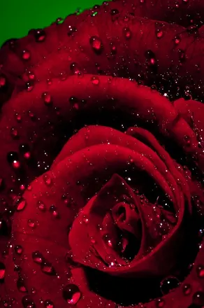 OnlyFans cuenta cherokeejuju header 2