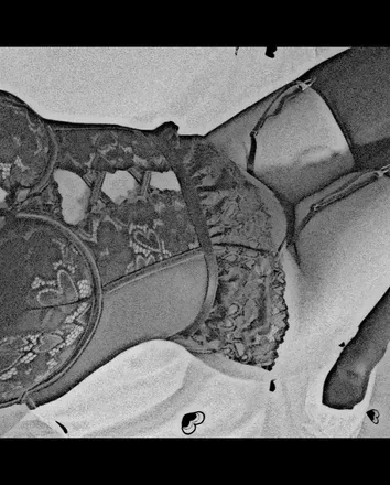 OnlyFans cuenta makotoficial header 2