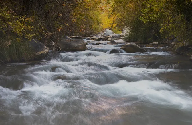 OnlyFans cuenta riverbanks header 2