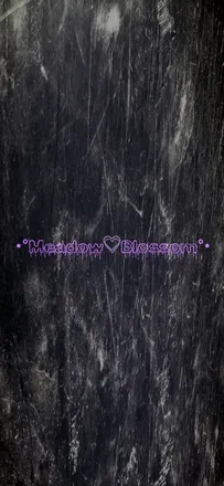 OnlyFans cuenta xblossomx88 header 2