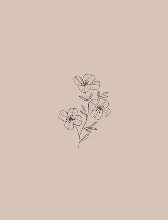 OnlyFans cuenta elibloom header 2