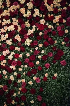 OnlyFans cuenta selene18ce header 2