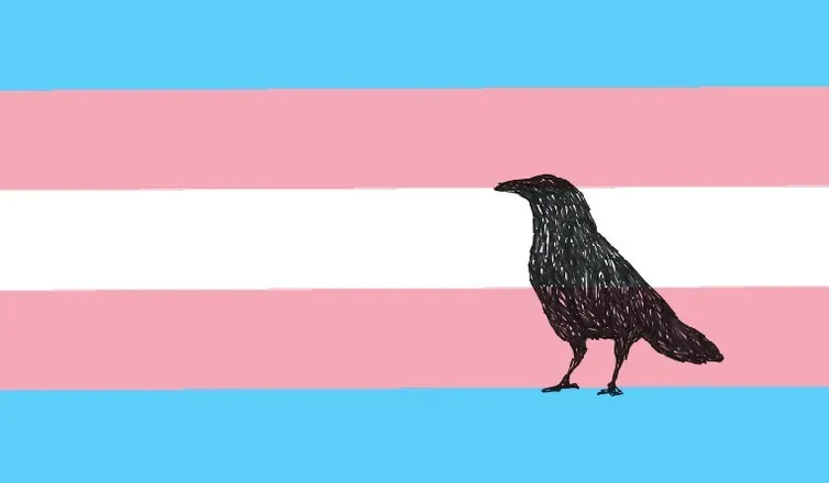 OnlyFans cuenta kinky.transman header 2