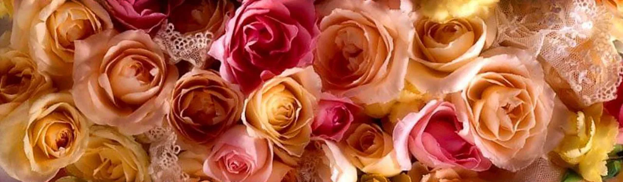 OnlyFans cuenta emiannrose header 2