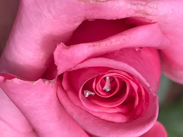 OnlyFans cuenta annecurvelicious header 2