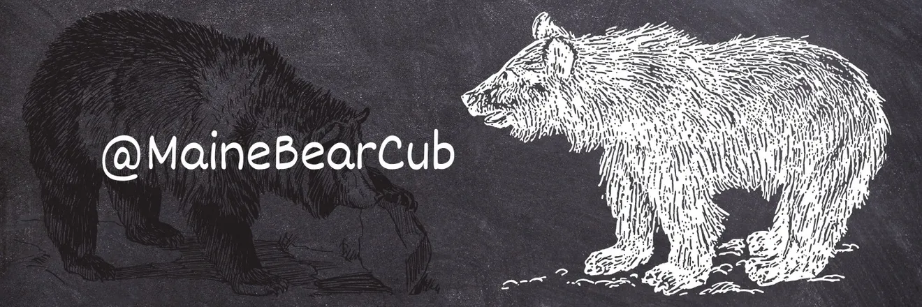OnlyFans cuenta mainebearcub header 2