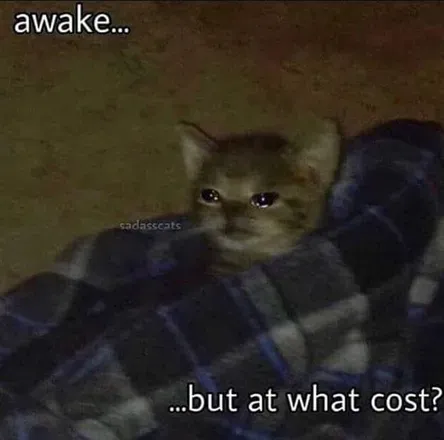 OnlyFans cuenta lowkeyatthenightshow header 2