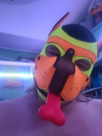 OnlyFans cuenta felix_the_wild_dog avatar 1