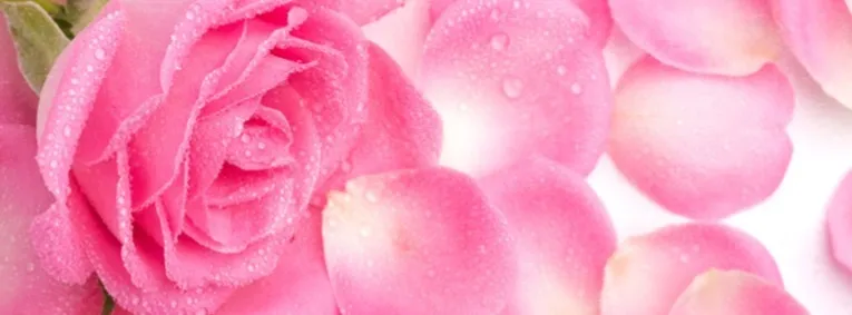 OnlyFans cuenta definitelydelicious header 2