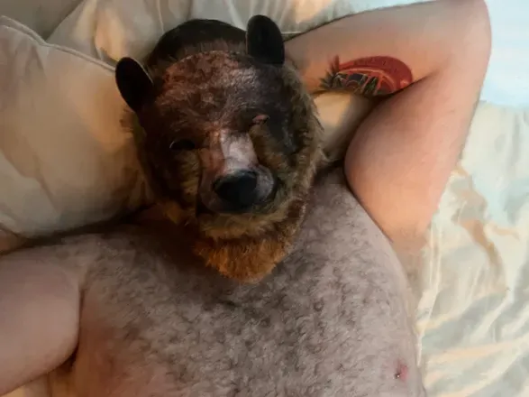 OnlyFans cuenta maskedbearof avatar 1