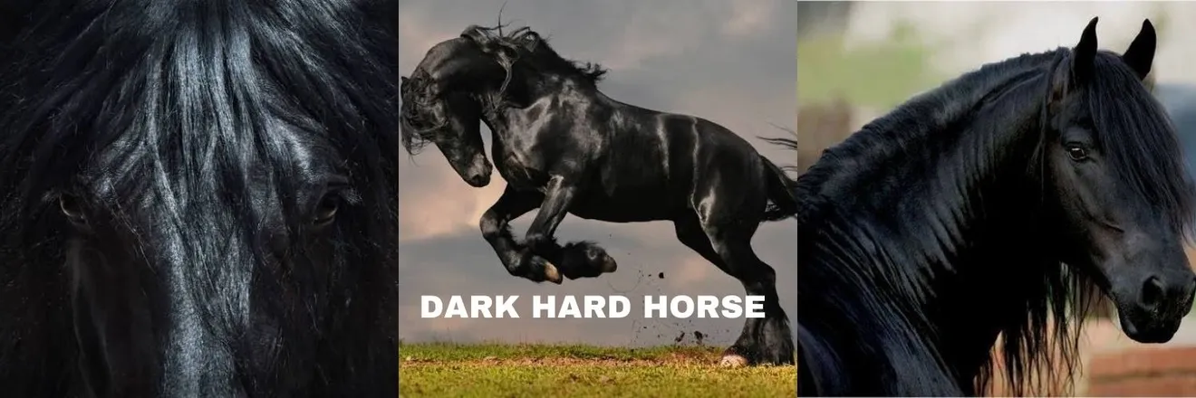 OnlyFans cuenta harddarkhorse header 2