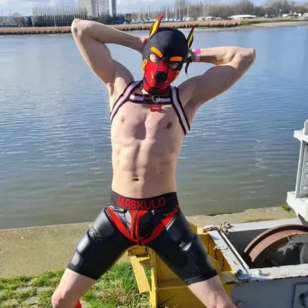 OnlyFans cuenta pup_roger.aut avatar 1