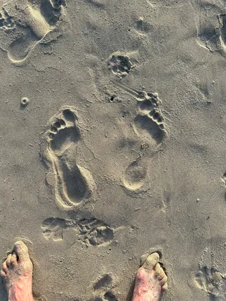 OnlyFans cuenta bigfoot_abroad header 2