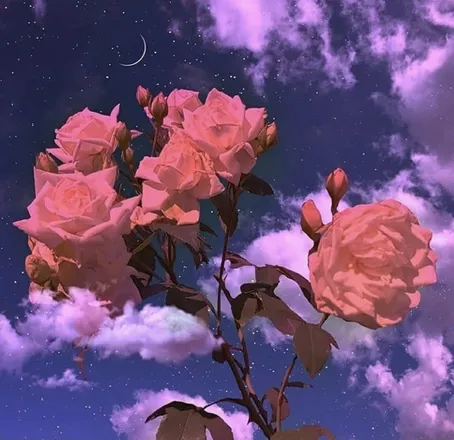 OnlyFans cuenta sunflowerdolll header 2