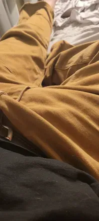 OnlyFans cuenta human_shrek header 2
