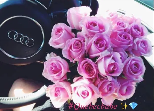 OnlyFans account  quebecbabe header 2