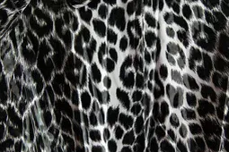 OnlyFans cuenta mirabella95 header 2
