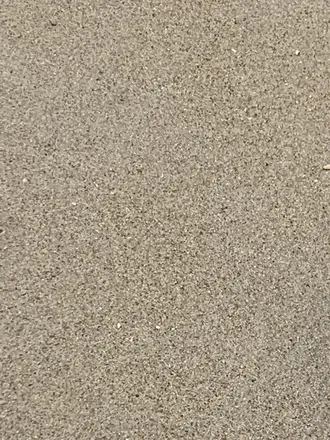 OnlyFans cuenta rgnbull header 2