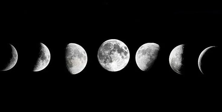 OnlyFans cuenta moonclove header 2