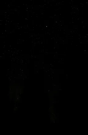 OnlyFans account  lbdafterdark header 2