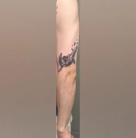 OnlyFans cuenta winstongaming1 avatar 1